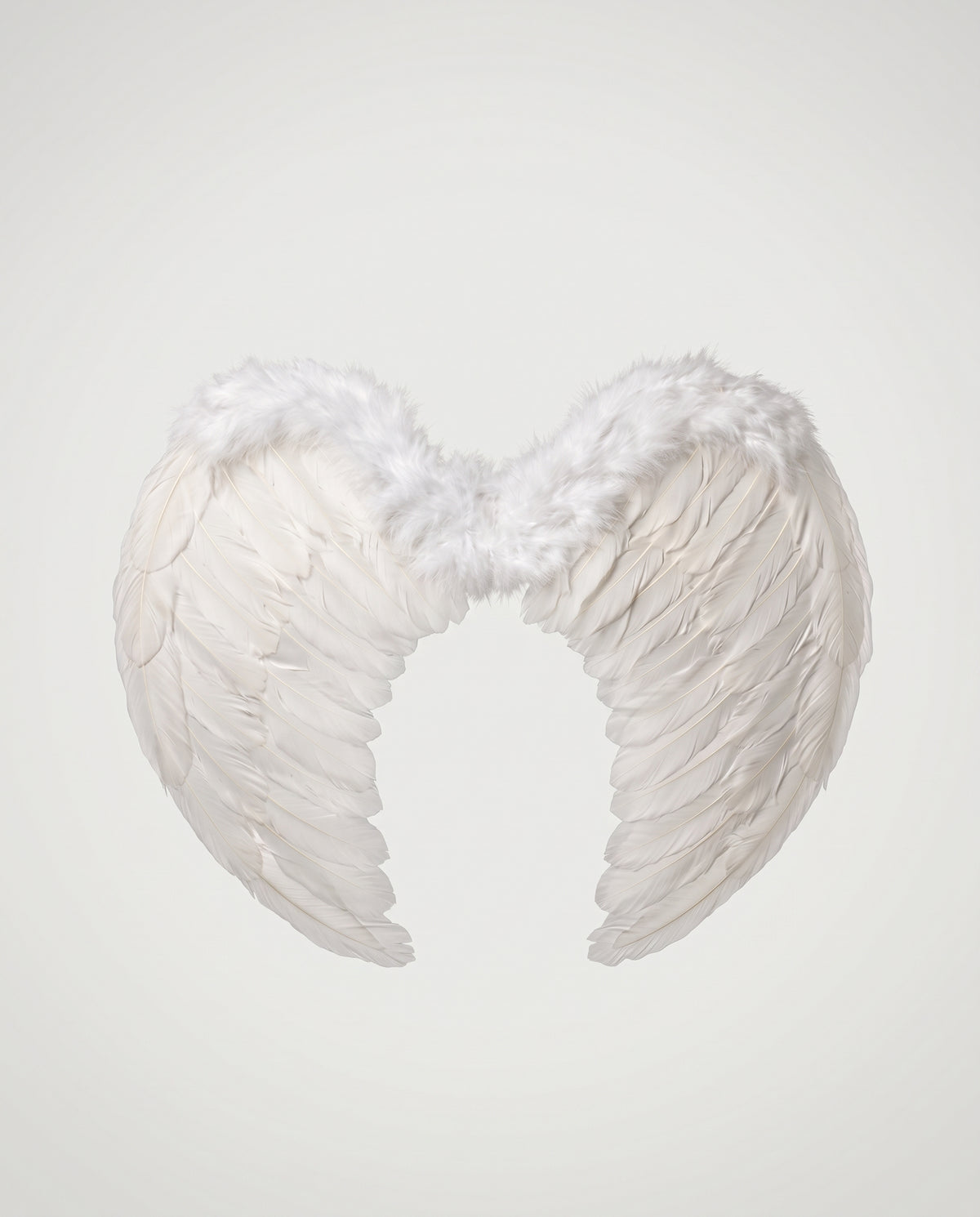 White Feather Angel Wings