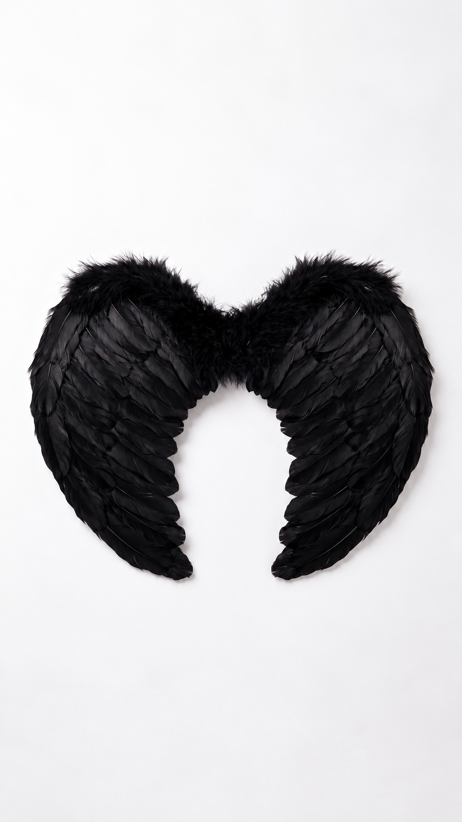 Black Feather Angel Wings